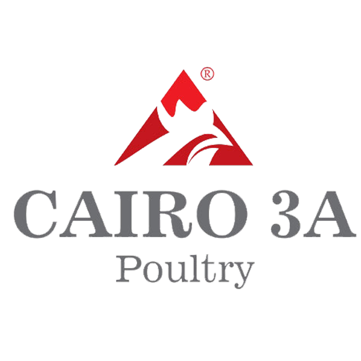 كايرو ثرى اى