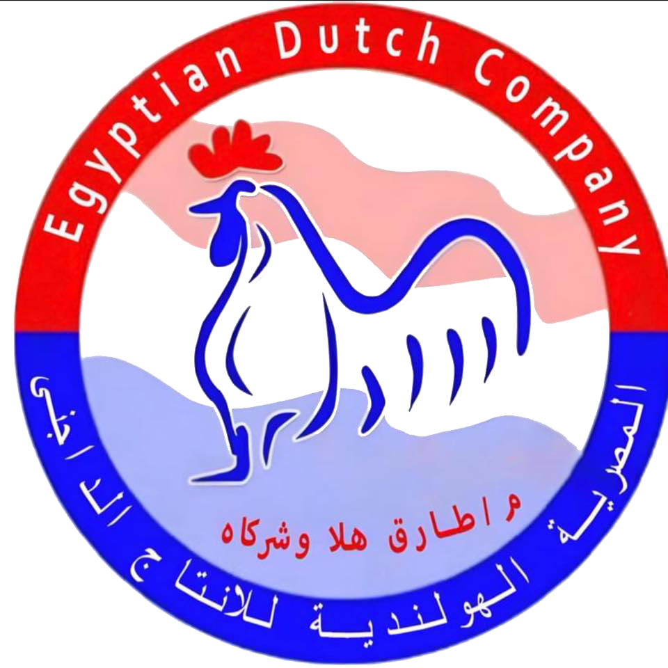 المصرية الهولندية